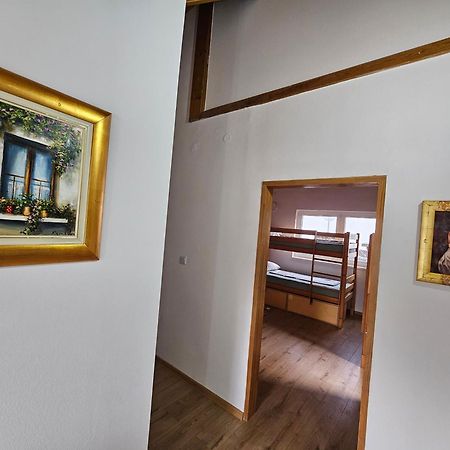 Leopold Chillout Hostel SJJ Extérieur photo