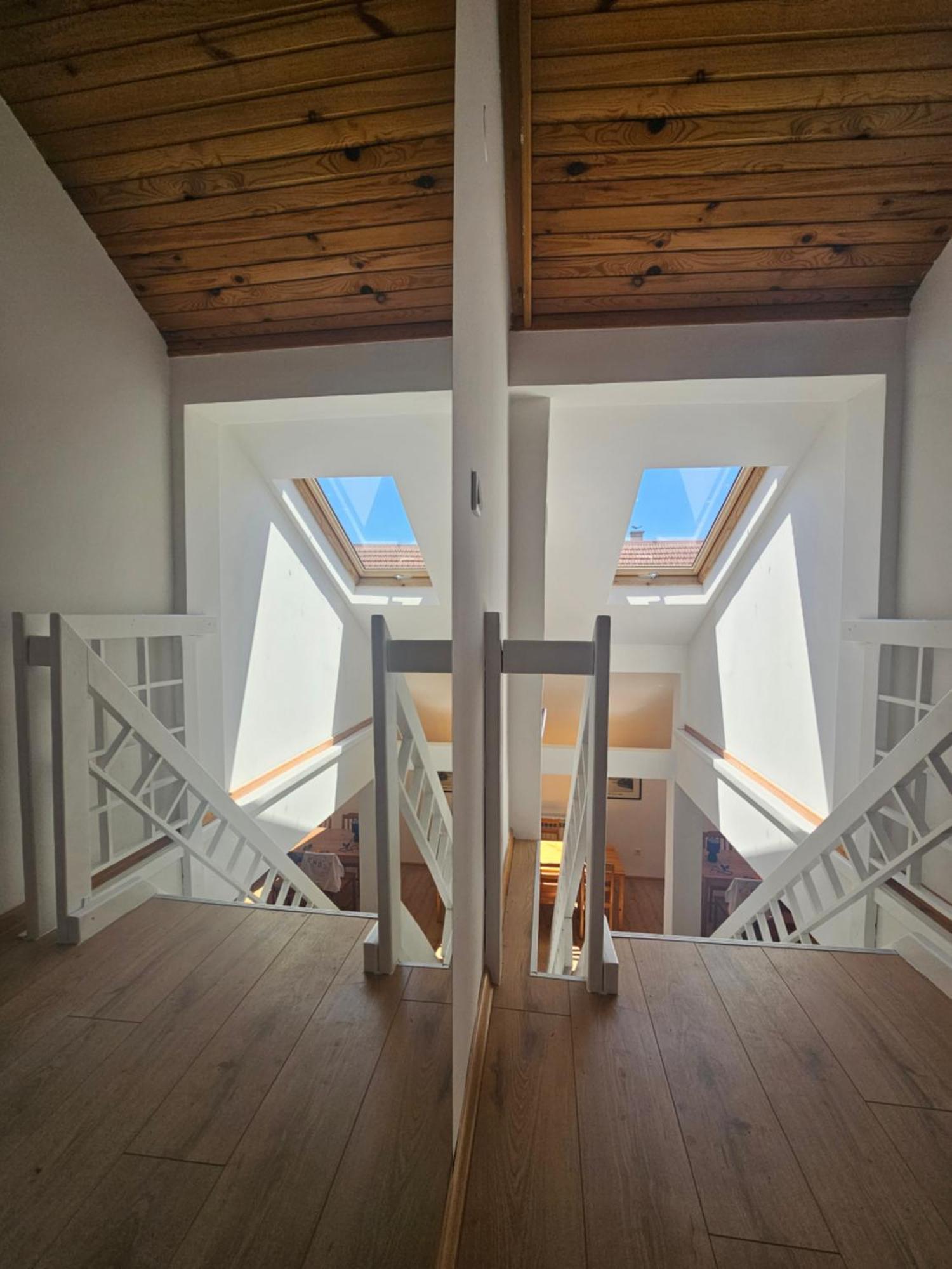 Leopold Chillout Hostel SJJ Extérieur photo