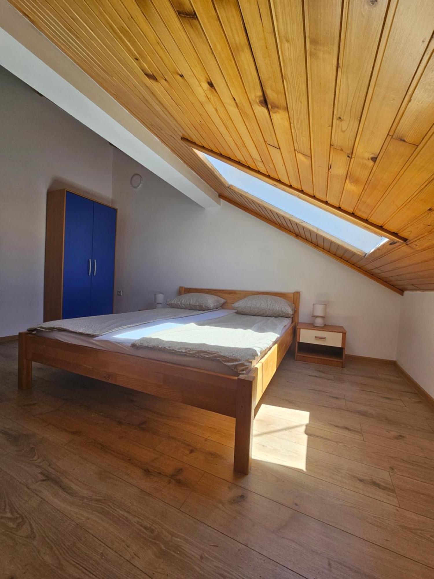 Leopold Chillout Hostel SJJ Extérieur photo