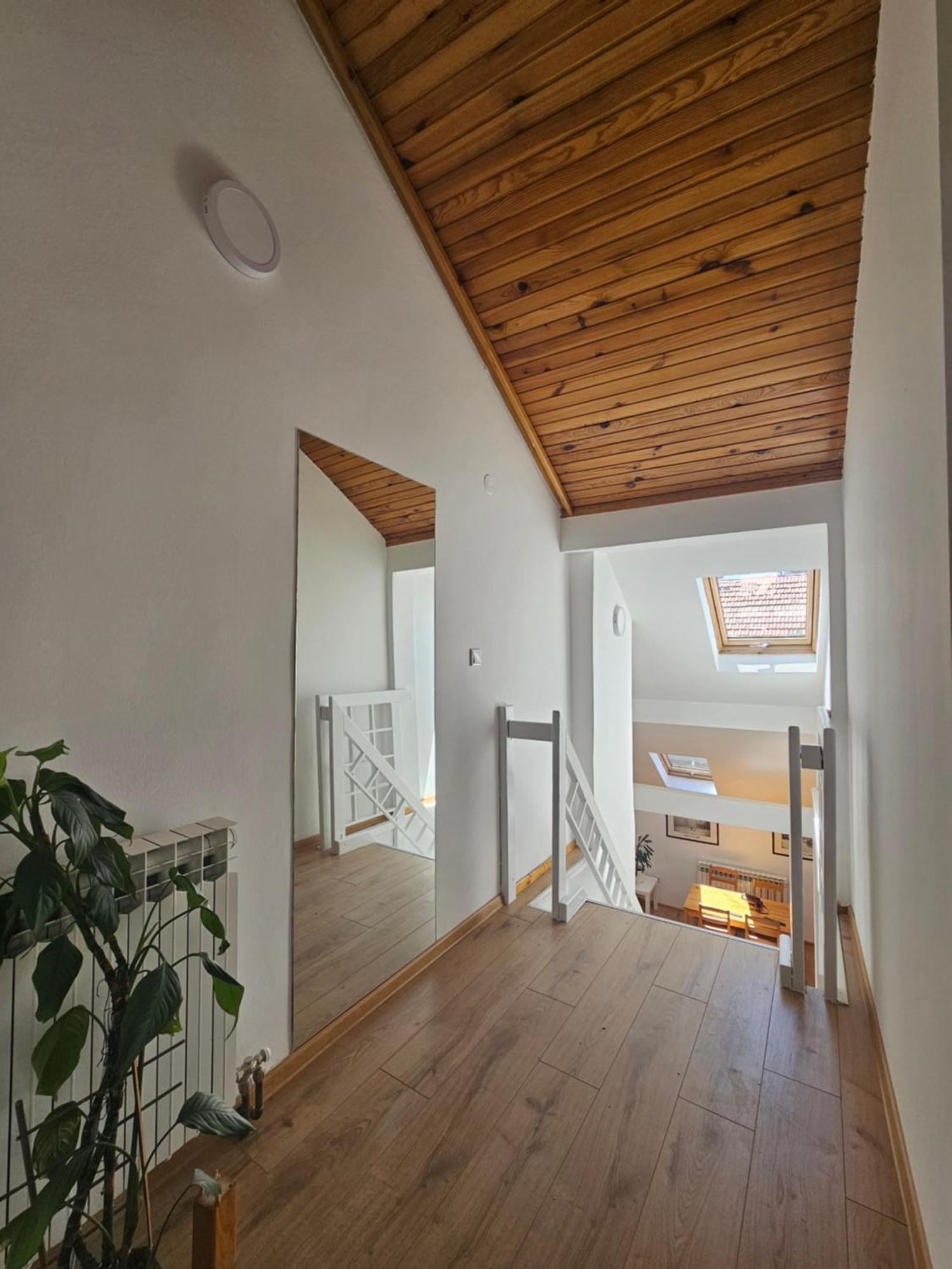 Leopold Chillout Hostel SJJ Extérieur photo